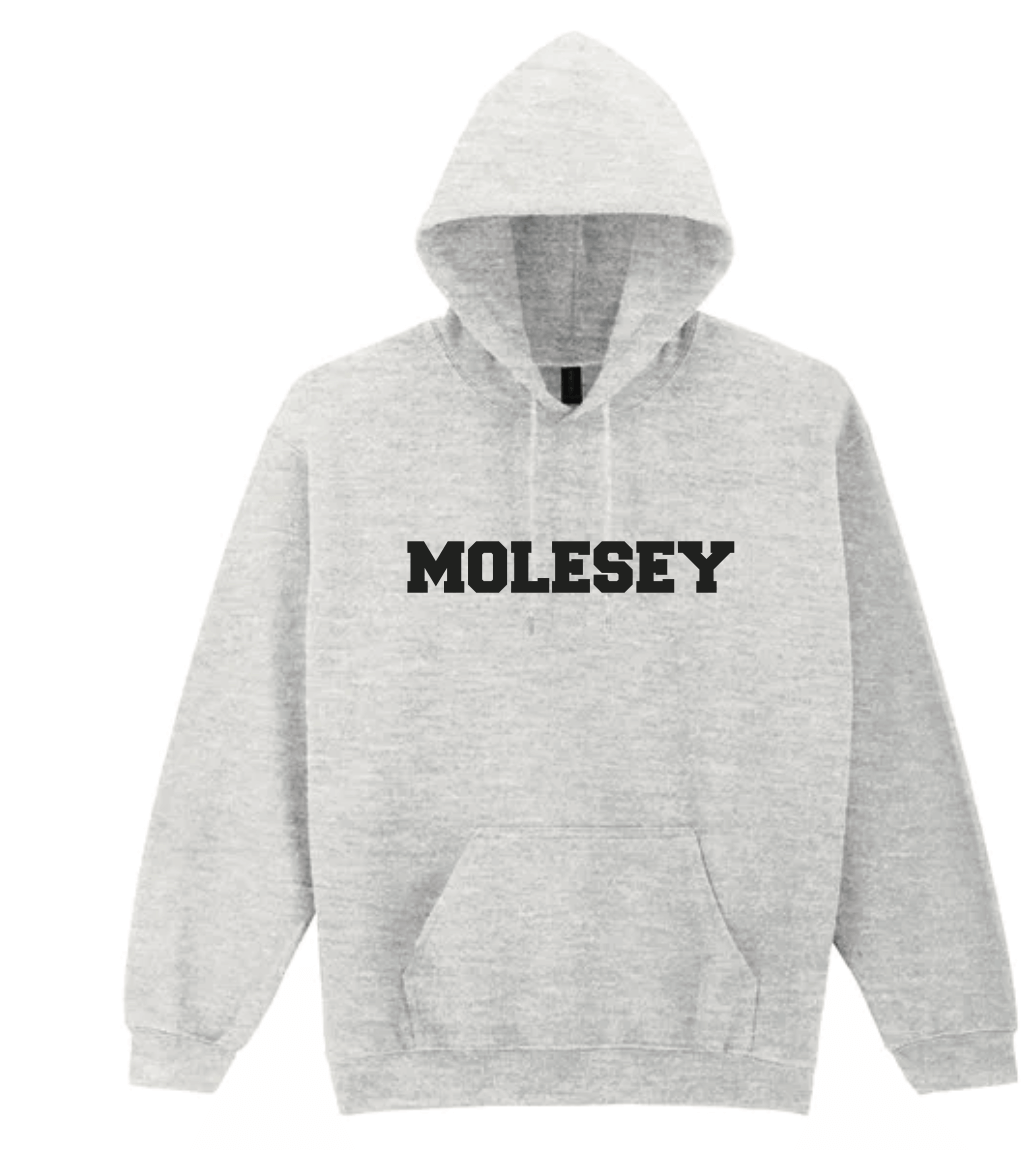 Molesey Grey Sweatshirt